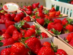 photo Fête de la fraise