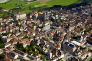 photo Visite thématique à Langres : Le quartier canonial, une ville dans la ville