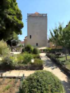 Visite guidée du donjon de Chaumont