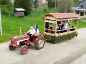 photo Transhumance des vaches pour notre juju