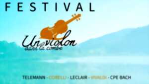 photo Festival Un violon dans la combe