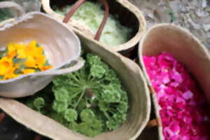 photo MARCHÉ AUX PLANTS