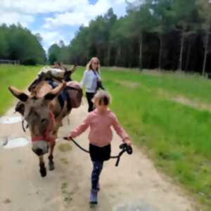 photo Portes ouvertes aux ânes de madame