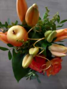 photo Bourse aux plantes à Vendôme