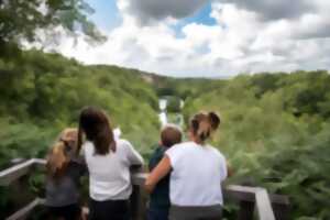 photo Visite guidée du mont Castre