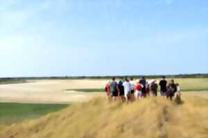 photo Sortie nature : Traversée du havre de Surville