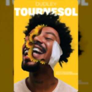 photo Dudley - Tournesol