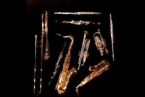 photo Concert Gospel