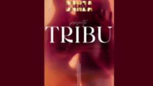 photo Spectacle de danse – Danza “Tribu”