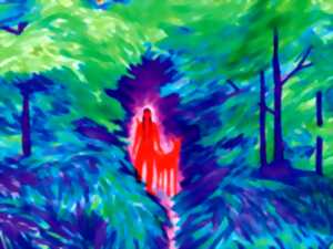 photo Rencontre avec Charlotte Monsarrat à la librairie LIRE