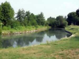 photo Repas du pêcheur