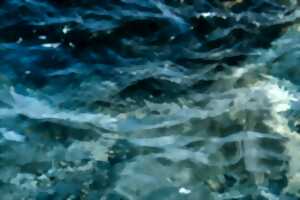 photo Exposition de photographies 