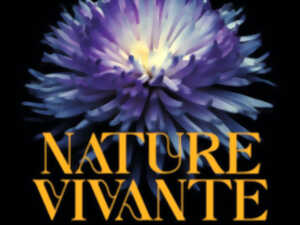photo Nature vivante