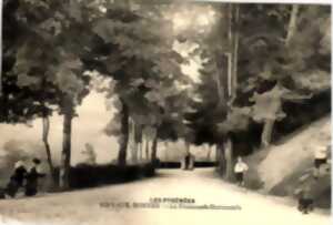 photo Randonnée sur la Promenade Horizontale des Eaux Bonnes : l'histoire de la forêt pyrénéenne et des arbres de l'Impératrice
