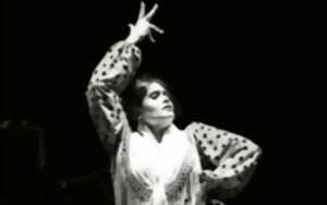 photo Tablao Flamenco