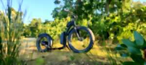 photo Découvrez Mézos lors d’une balade en Tchanquaroue