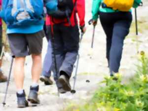 photo Wagschaïder Maïbummel