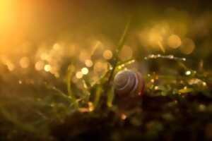 photo Chantier nature de coupe de petits ligneux