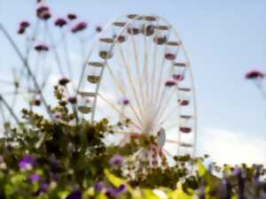photo Grande roue de Cabourg