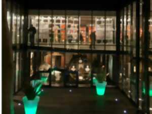 photo Nuit des musées à Bayeux