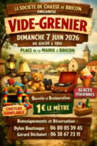 photo Vide-grenier de Bricon