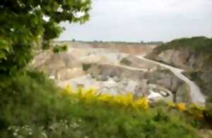 photo Visite commentée de la carrière du Pont - L'Homme et la pierre