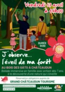 photo Balade famille - J'observe l'éveil de ma forêt