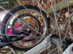 photo Balade vélo gourmande à Montoire-sur-le Loir