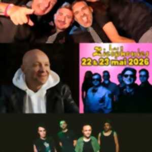 photo Festival des Zicophonies - Pass 2 Jours