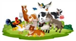 photo Festival Animalier