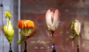 photo Cocotte en papier