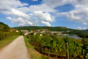 photo Parcours ludique 