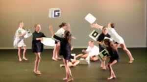 photo Spectacle de danse Proviedanse