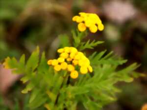 photo Transmettre nos expériences