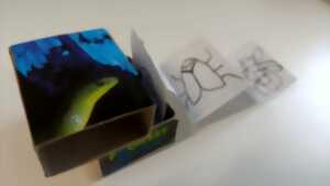 photo Atelier Mini Cabinet de Curiosit