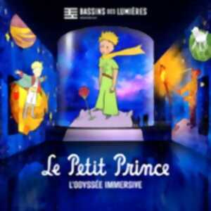 photo Bassins des Lumières - Le Petit Prince, l'Odyssée Immersive