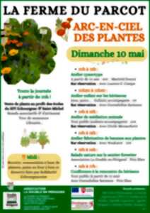 photo Arc en ciel des plantes