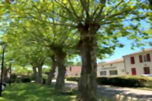 photo Marché rural à Duhort-Bachen