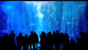 photo Soirée Concert : Célébrons l'Océan 