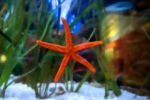 photo Journées Européennes du Patrimoine