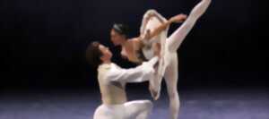 photo La Belle au bois dormant