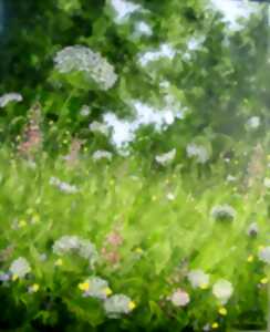 photo Exposition de peintures - Brigitte Di Scala