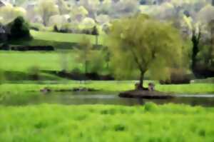 photo Pêche à l'étang