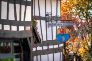 photo Exposition : Espaces de liberté