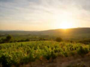 photo BALADE VIGNERONNE