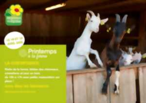 photo Printemps à la ferme : La Chèvr'Ignol