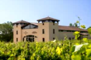 photo Chorale | Vignoble des Verdots