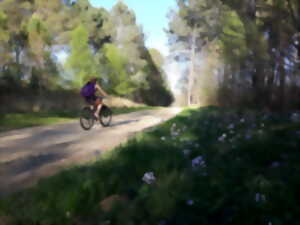 photo RANDO VELO DECOUVERTE