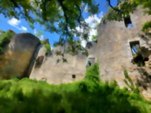 photo Conférence 3D et visite du château de la Renaudie