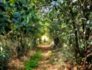 photo Journée Nature